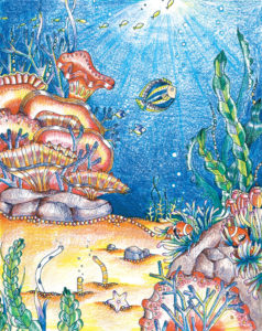 海底のイラスト