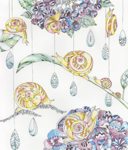 カタツムリと紫陽花のイラスト