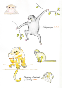 チンパンジーとリスザルのイラスト