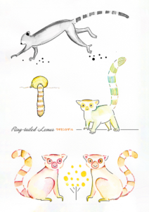 ワオキツネザルのイラスト